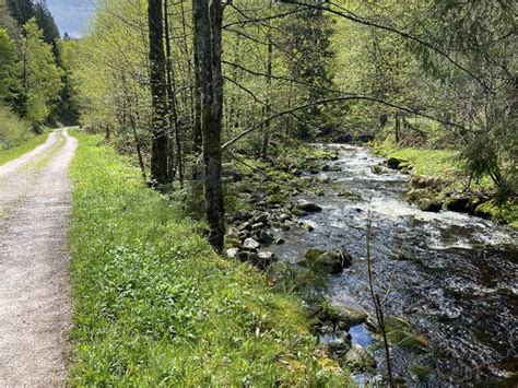 komoot schwarzwald|Schwarzwald